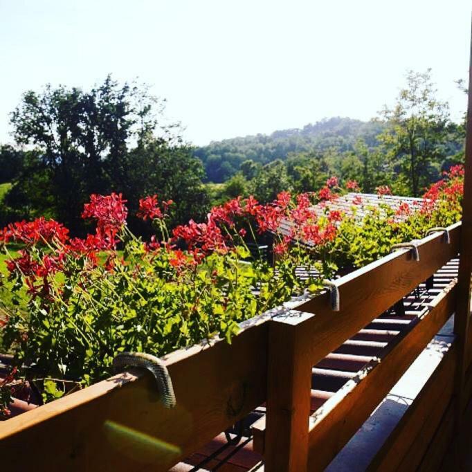 BarzanaCa' Del Cuco住宿加早餐旅馆 外观 照片